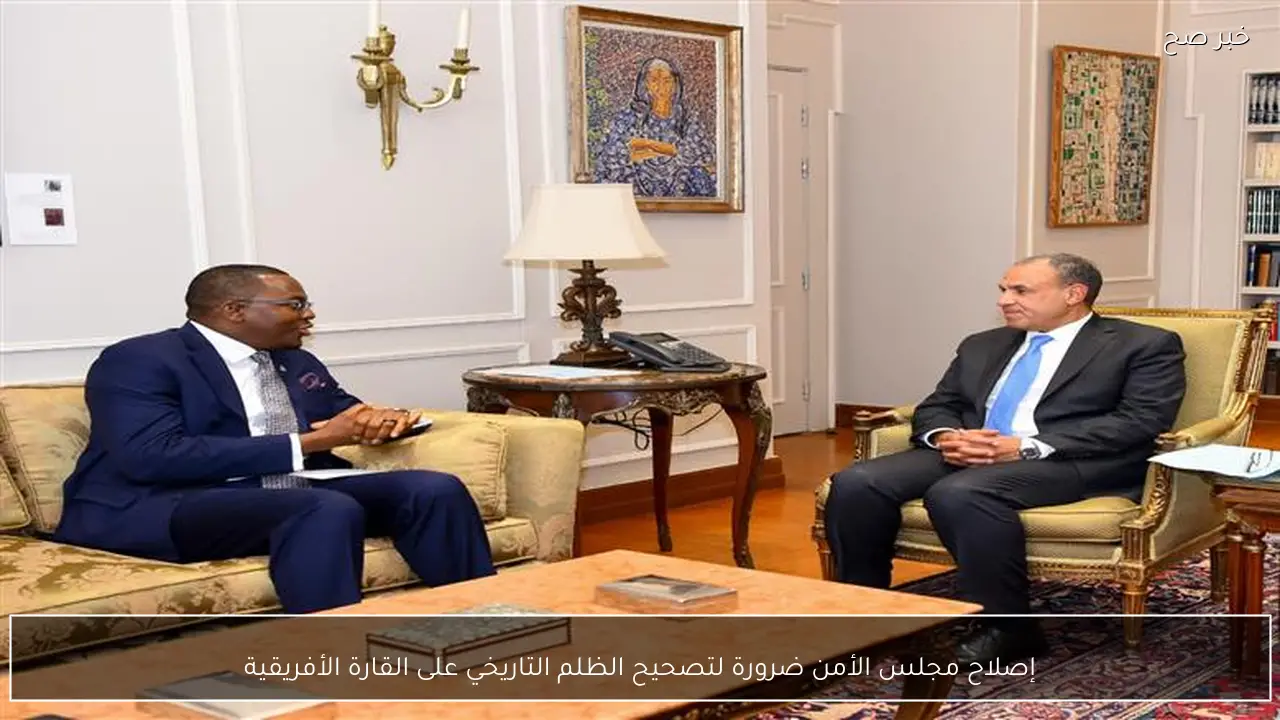 إصلاح مجلس الأمن ضرورة لتصحيح الظلم التاريخي على القارة الأفريقية