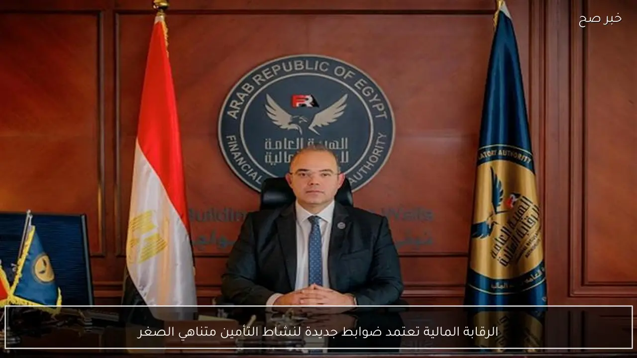 الرقابة المالية تعتمد ضوابط جديدة لنشاط التأمين متناهي الصغر