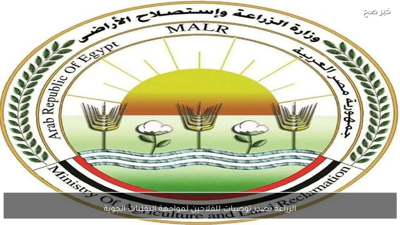 الزراعة تصدر توصيات للفلاحين لمواجهة التقلبات الجوية