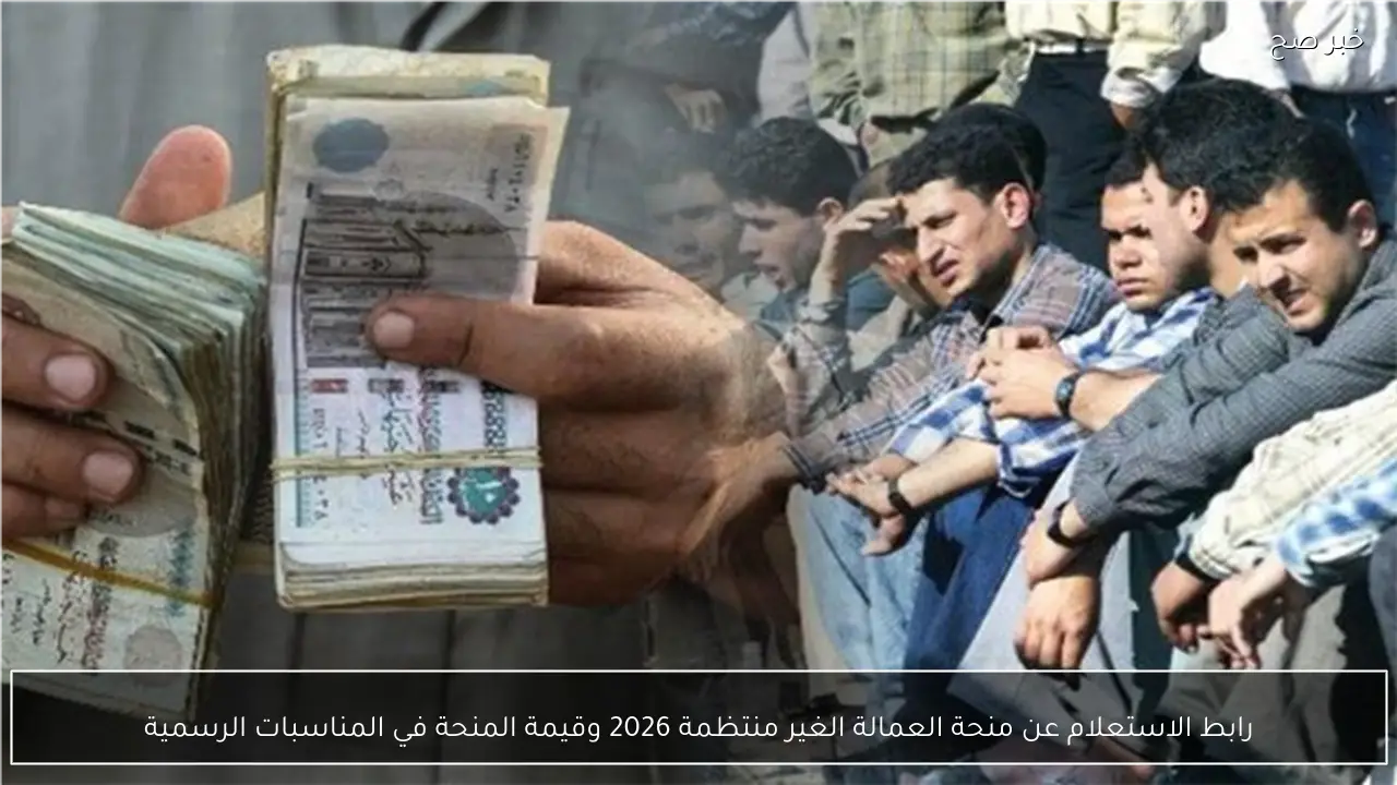 رابط الاستعلام عن منحة العمالة الغير منتظمة 2026 وقيمة الدعم في كل مناسبة رسمية