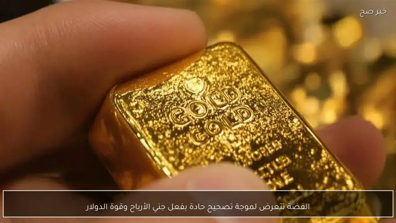 الفضة تتعرض لموجة تصحيح حادة بفعل جني الأرباح وقوة الدولار