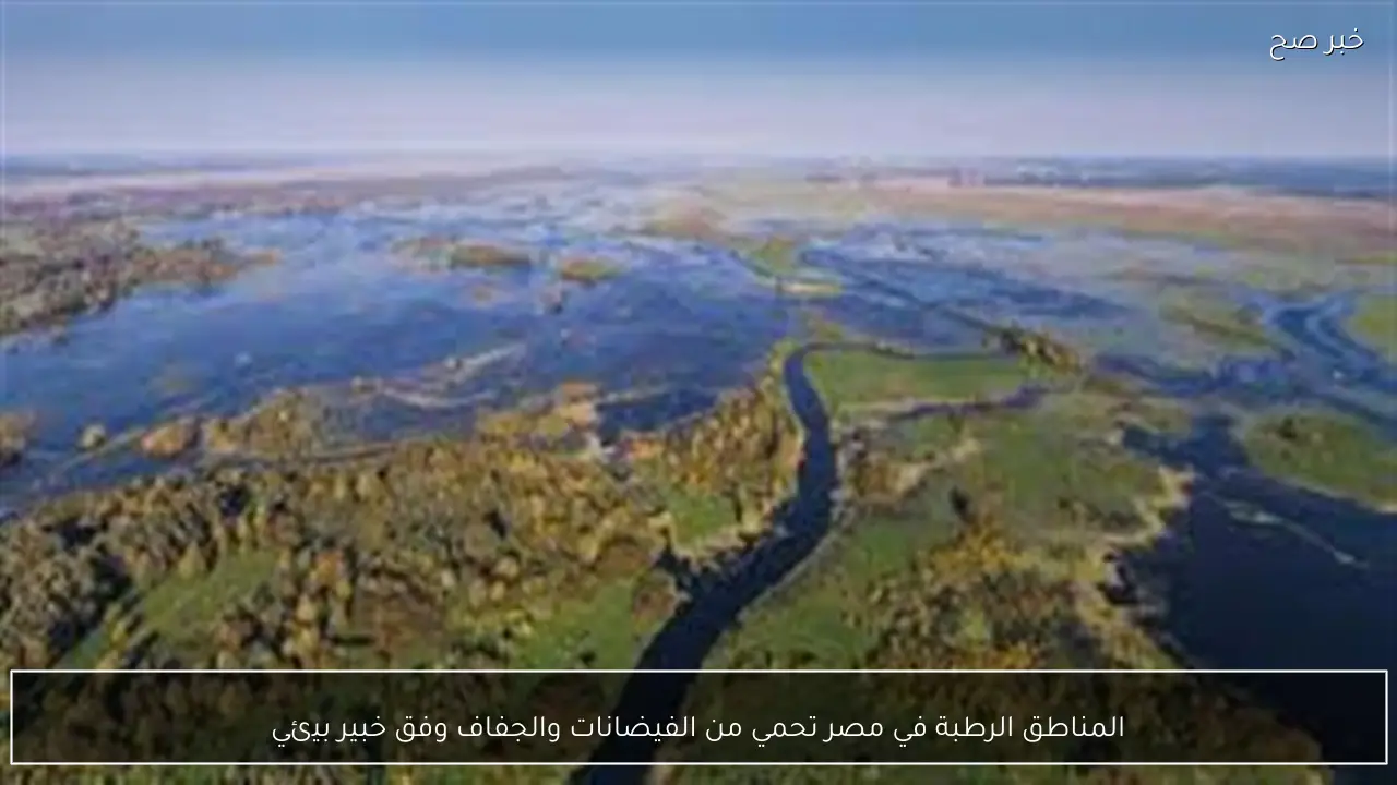 المناطق الرطبة في مصر تحمي من الفيضانات والجفاف وفق خبير بيئي