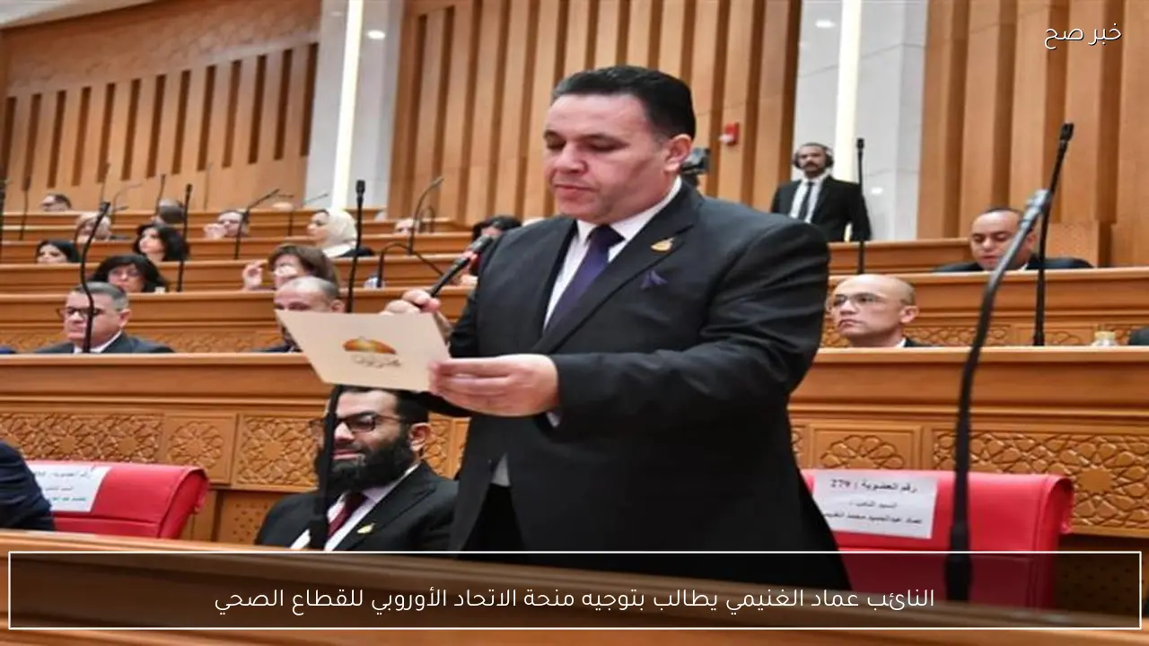 النائب عماد الغنيمي يطالب بتوجيه منحة الاتحاد الأوروبي للقطاع الصحي