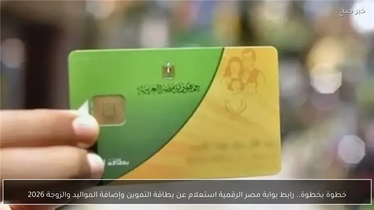 خطوة بخطوة.. رابط بوابة مصر الرقمية استعلام عن بطاقة التموين وإضافة المواليد والزوجة 2026