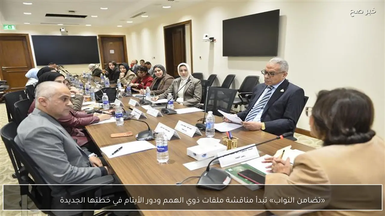 «تضامن النواب» تبدأ مناقشة ملفات ذوي الهمم ودور الأيتام في خطتها الجديدة