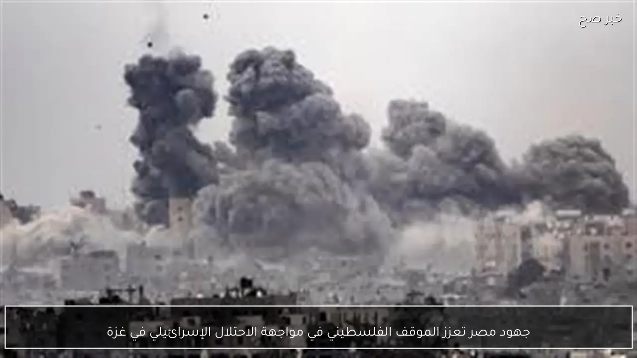 جهود مصر تعزز الموقف الفلسطيني في مواجهة الاحتلال الإسرائيلي في غزة