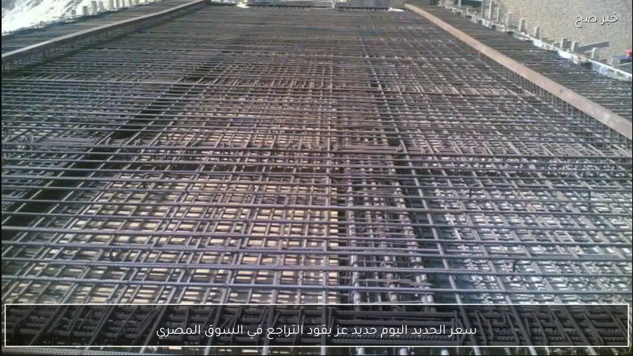 سعر الحديد اليوم حديد عز يقود التراجع في السوق المصري