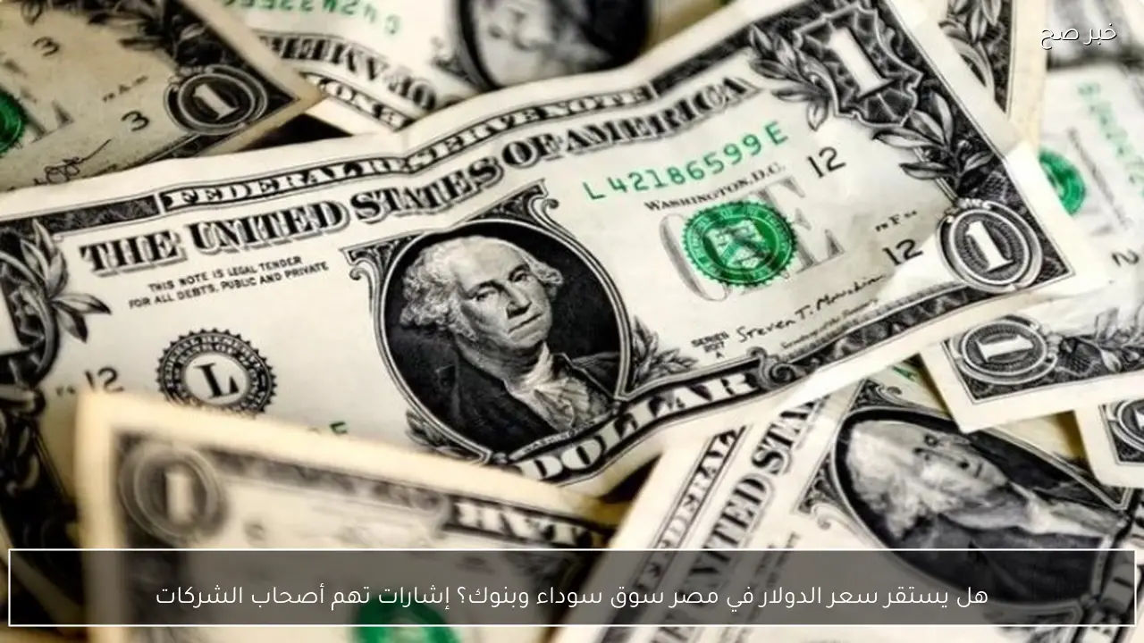 هل يستقر سعر الدولار في مصر سوق سوداء وبنوك؟ إشارات تهم أصحاب الشركات
