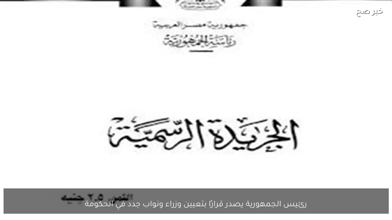 رئيس الجمهورية يصدر قرارًا بتعيين وزراء ونواب جدد في الحكومة