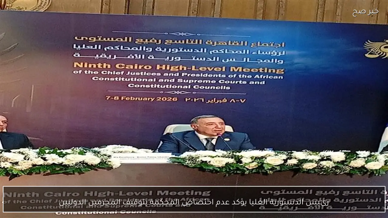 رئيس الدستورية العليا يؤكد عدم اختصاص المحكمة بتوقيف المجرمين الدوليين