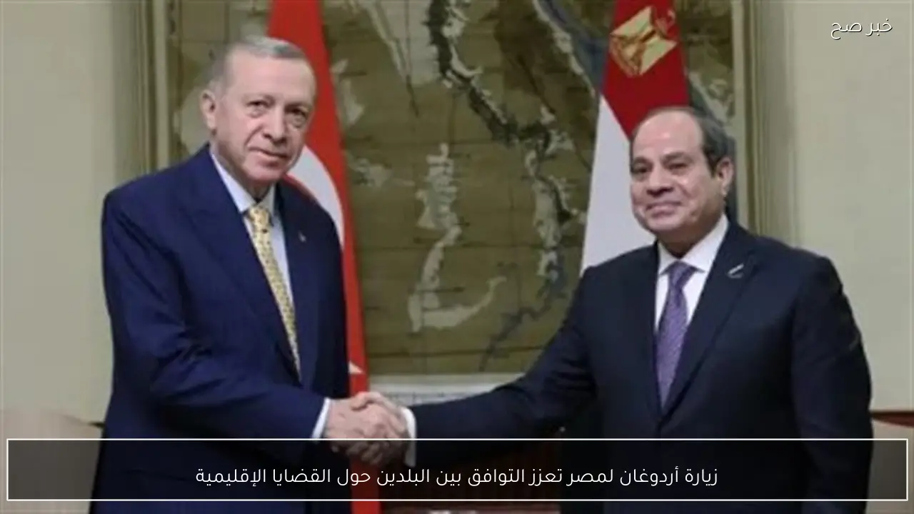 زيارة أردوغان لمصر تعزز التوافق بين البلدين حول القضايا الإقليمية