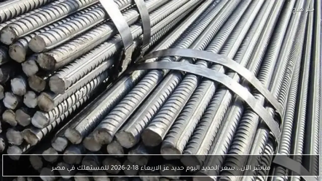 مباشر الآن.. سعر الحديد اليوم حديد عز الاربعاء 18-2-2026 للمستهلك في مصر