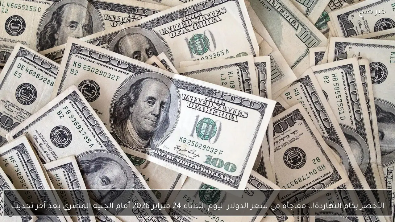 الأخضر بكام النهاردة!.. مفاجأة في سعر الدولار اليوم الثلاثاء 24 فبراير 2026 أمام الجنيه المصري بعد آخر تحديث