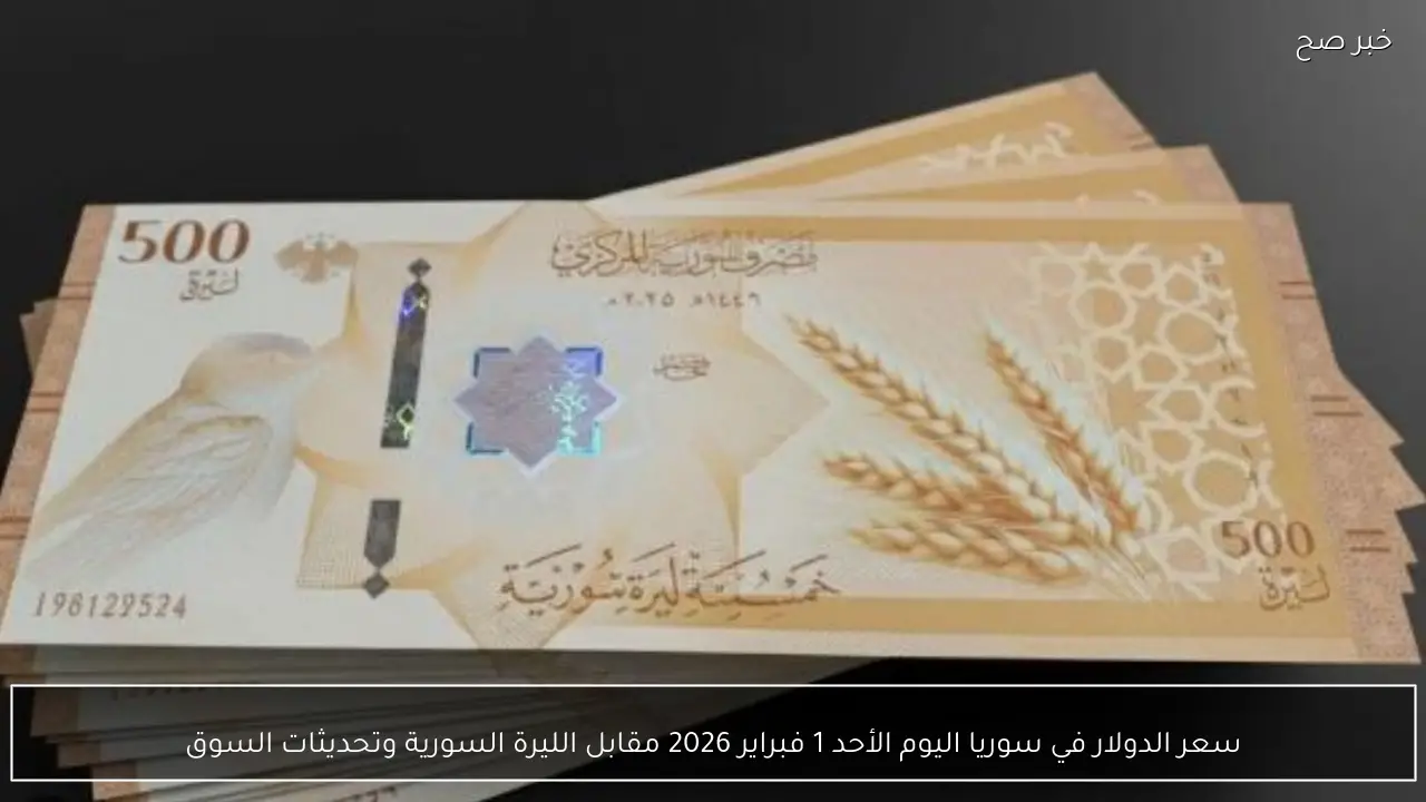 سعر الدولار في سوريا اليوم الأحد 1 فبراير 2026 مقابل الليرة السورية وتحديثات السوق