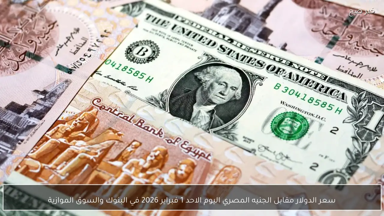 سعر الدولار مقابل الجنيه المصري اليوم الاحد 1 فبراير 2026 في البنوك والسوق الموازية