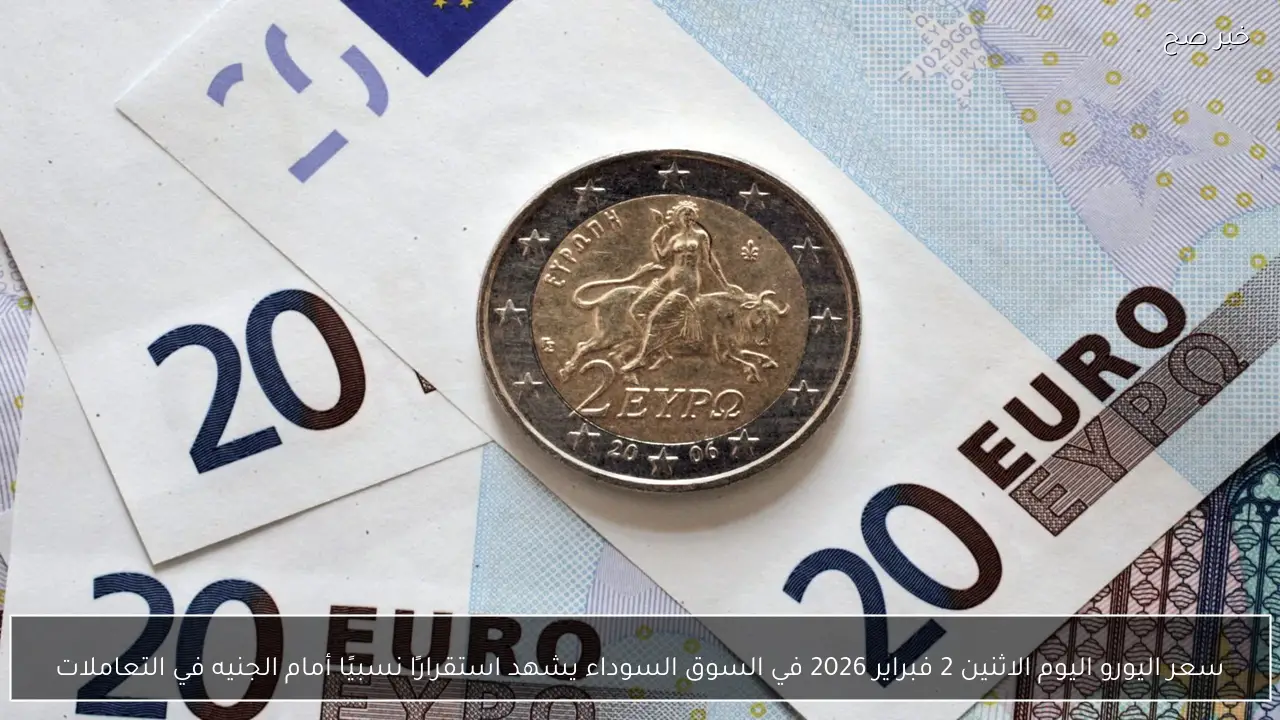 سعر اليورو اليوم الاثنين 2 فبراير 2026 في السوق السوداء يشهد استقرارًا نسبيًا أمام الجنيه في التعاملات