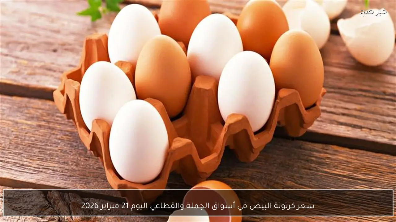 سعر كرتونة البيض في أسواق الجملة والقطاعي اليوم 21 فبراير 2026