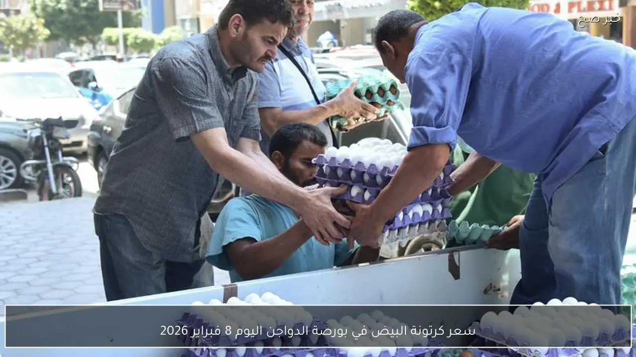 سعر كرتونة البيض في بورصة الدواجن اليوم 8 فبراير 2026
