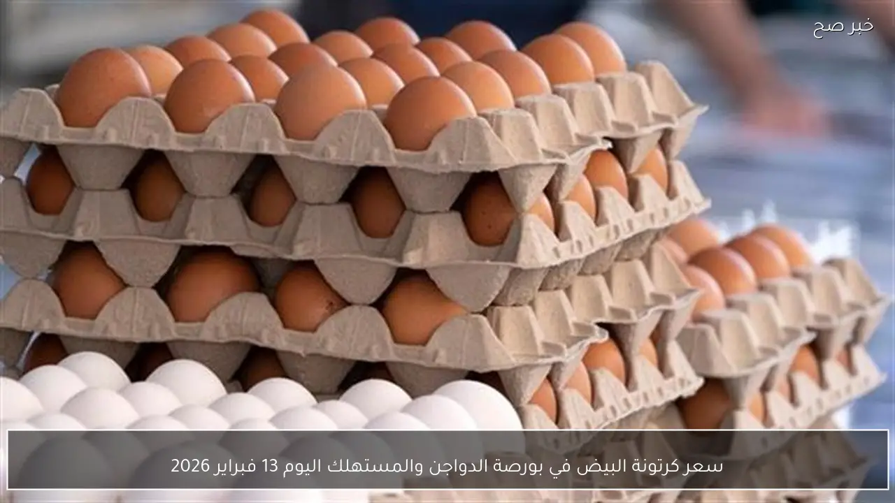 سعر كرتونة البيض في بورصة الدواجن والمستهلك اليوم 13 فبراير 2026