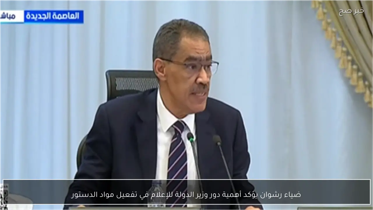 ضياء رشوان يؤكد أهمية دور وزير الدولة للإعلام في تفعيل مواد الدستور