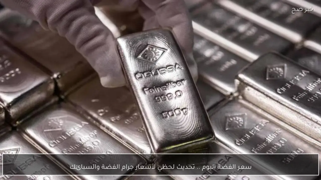 سعر الفضة اليوم .. تحديث لحظي لجرام الفضة والسبائك