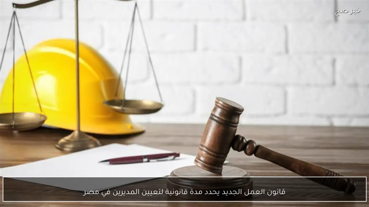 قانون العمل الجديد يحدد مدة قانونية لتعيين المديرين في مصر