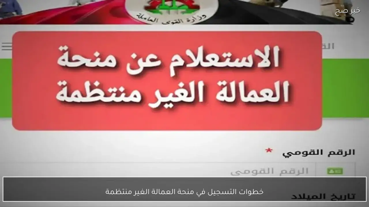 من هنا.. خطوات التسجيل في منحة العمالة الغير منتظمة لاستلام مبلغ 1500 بمناسبة شهر رمضان.. فرصة لا تتكرر