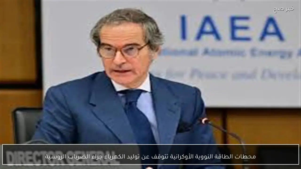 محطات الطاقة النووية الأوكرانية تتوقف عن توليد الكهرباء جراء الضربات الروسية