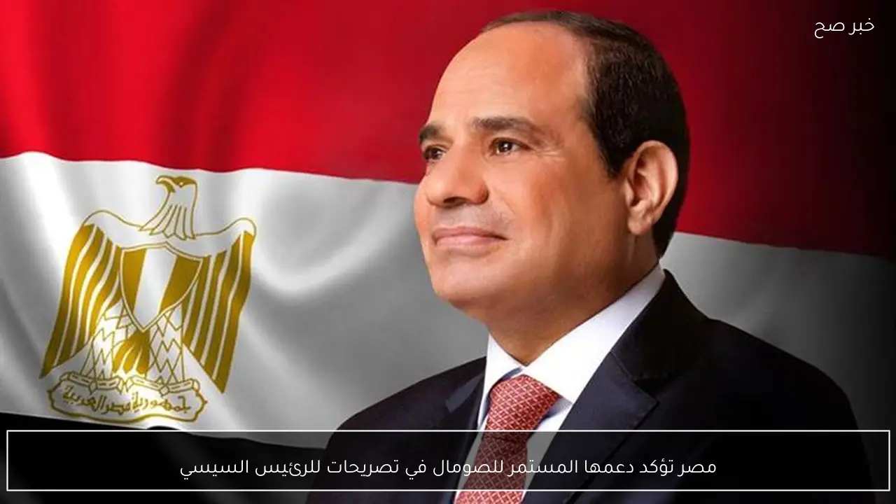 مصر تؤكد دعمها المستمر للصومال في تصريحات للرئيس السيسي