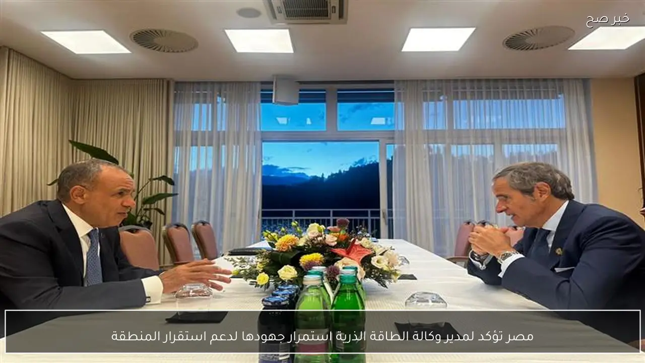 مصر تؤكد لمدير وكالة الطاقة الذرية استمرار جهودها لدعم استقرار المنطقة