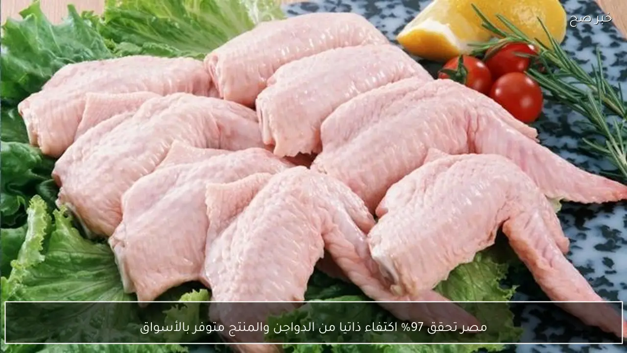 مصر تحقق 97% اكتفاء ذاتيا من الدواجن والمنتج متوفر بالأسواق