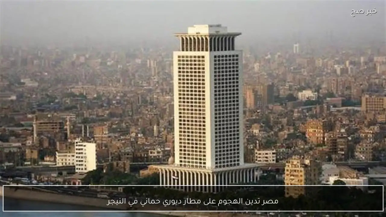 مصر تدين الهجوم على مطار ديوري حماني في النيجر