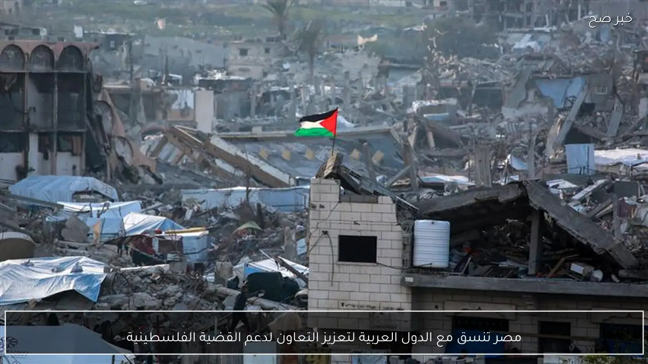 مصر تنسق مع الدول العربية لتعزيز التعاون لدعم القضية الفلسطينية