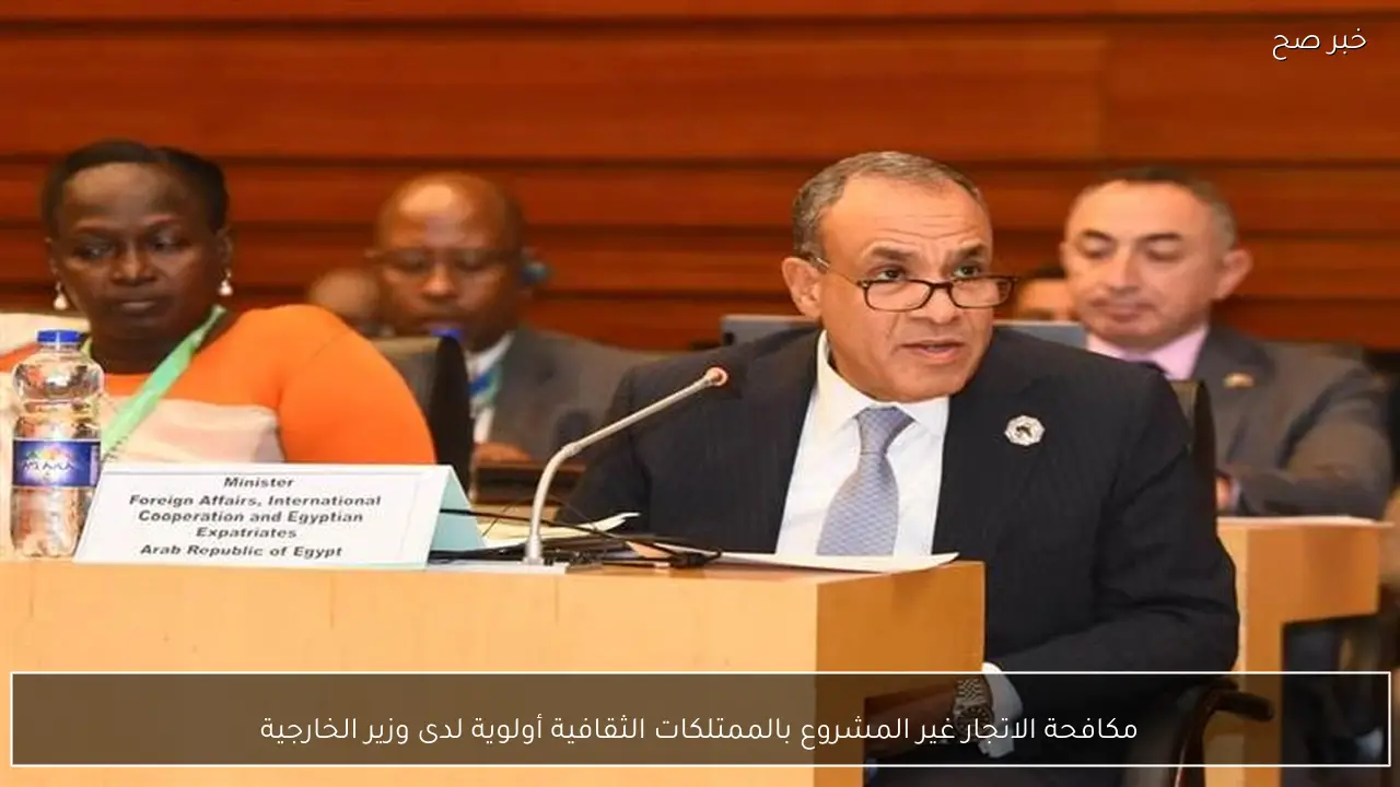 مكافحة الاتجار غير المشروع بالممتلكات الثقافية أولوية لدى وزير الخارجية