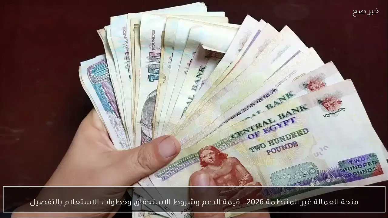 منحة العمالة غير المنتظمة 2026.. قيمة الدعم وشروط الاستحقاق وخطوات الاستعلام بالتفصيل