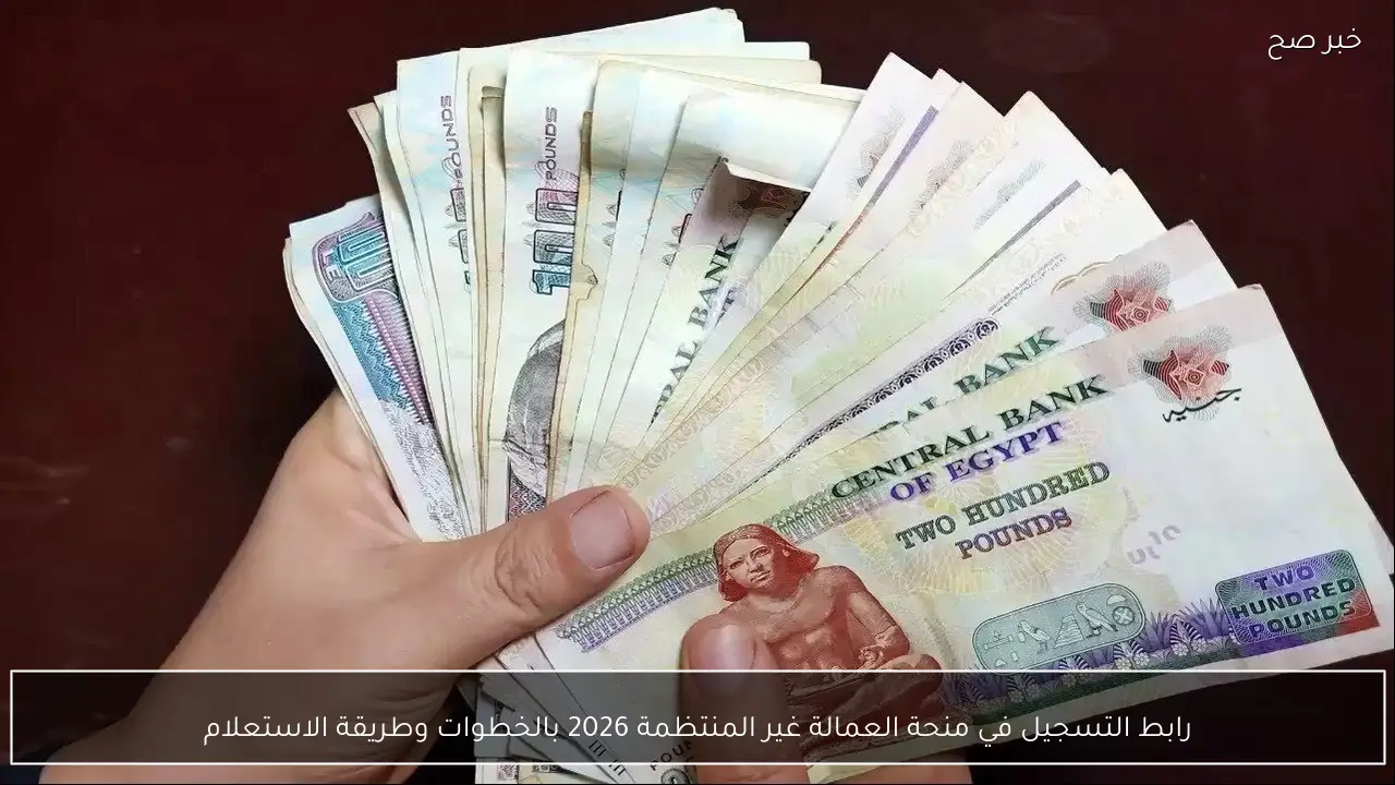 رابط التسجيل في منحة العمالة غير المنتظمة 2026 بالخطوات وطريقة الاستعلام