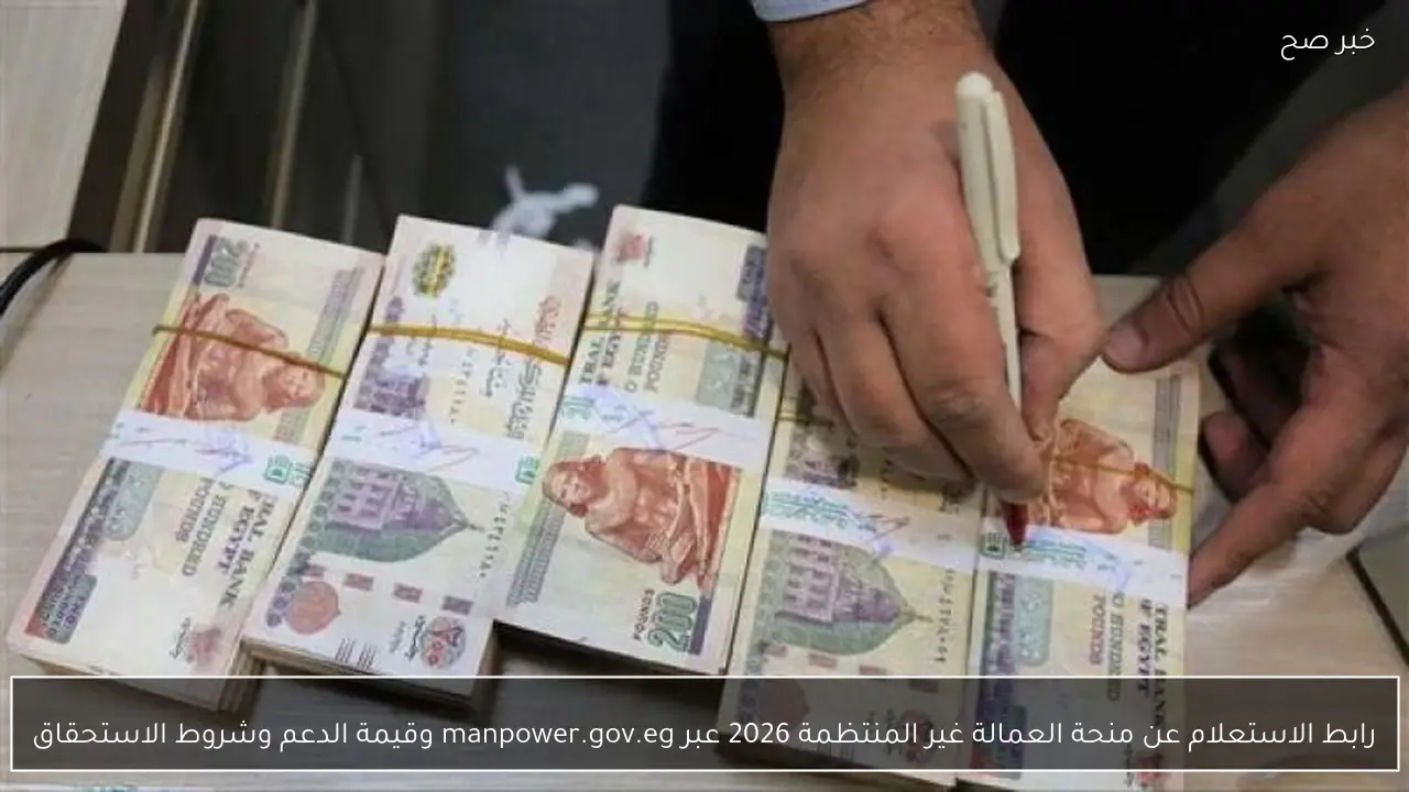 رابط الاستعلام عن منحة العمالة غير المنتظمة 2026 عبر manpower.gov.eg وقيمة الدعم وشروط الاستحقاق