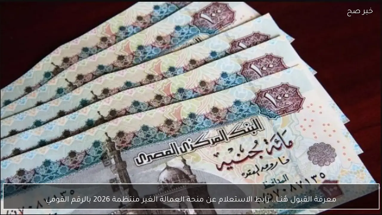 معرفة القبول هُنــا.. رابط الاستعلام عن منحة العمالة الغير منتظمة 2026 بالرقم القومي