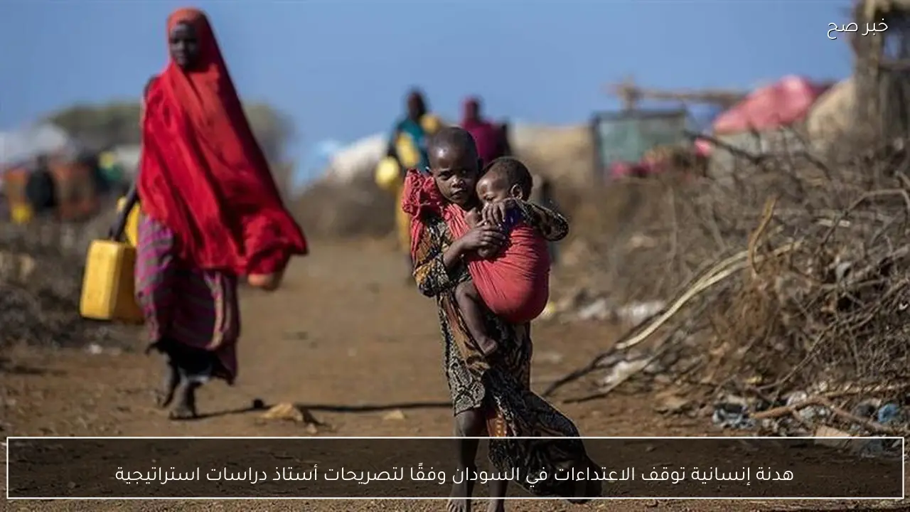 هدنة إنسانية توقف الاعتداءات في السودان وفقًا لتصريحات أستاذ دراسات استراتيجية