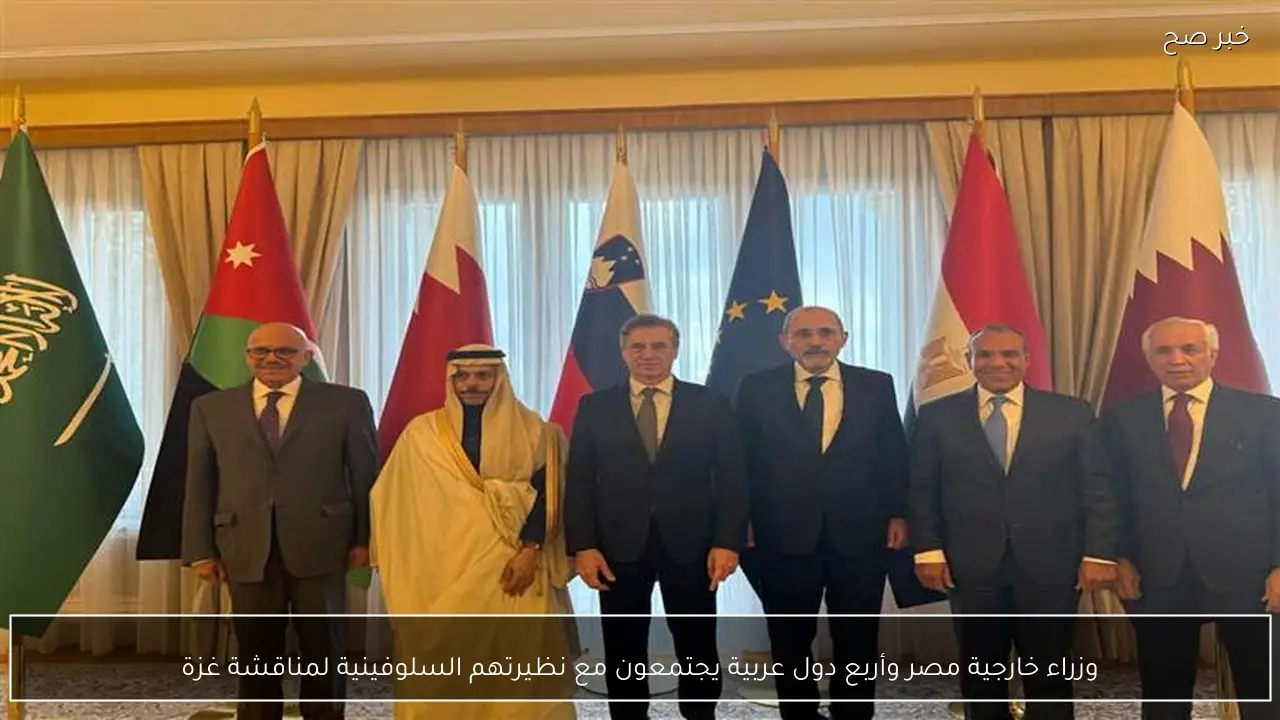 وزراء خارجية مصر وأربع دول عربية يجتمعون مع نظيرتهم السلوفينية لمناقشة غزة