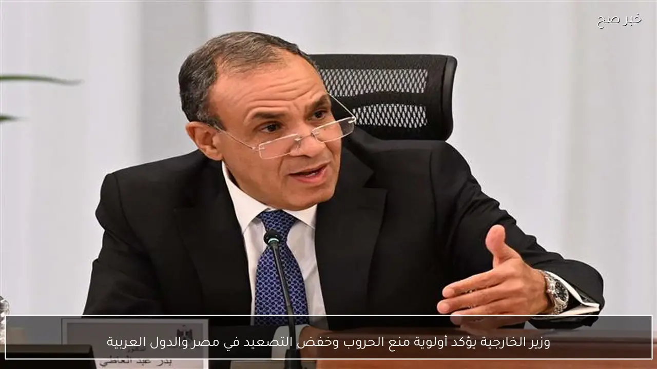 وزير الخارجية يؤكد أولوية منع الحروب وخفض التصعيد في مصر والدول العربية