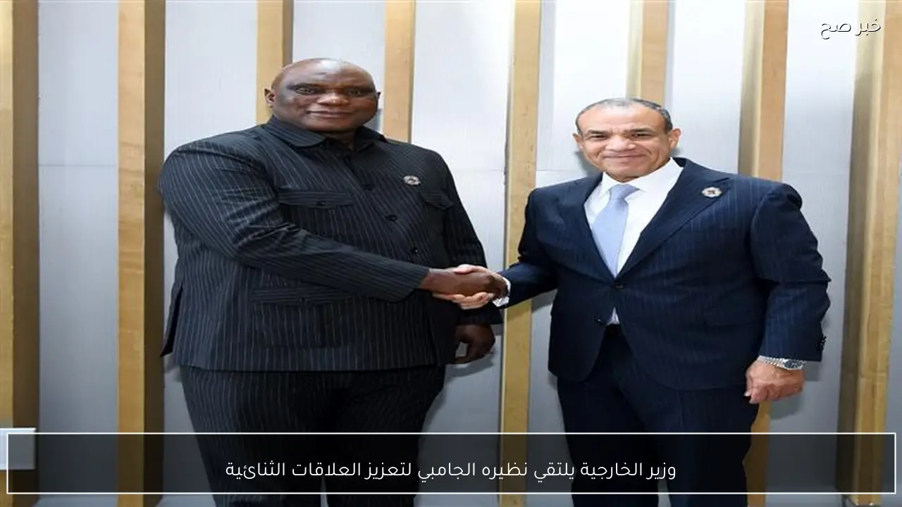 وزير الخارجية يلتقي نظيره الجامبي لتعزيز العلاقات الثنائية