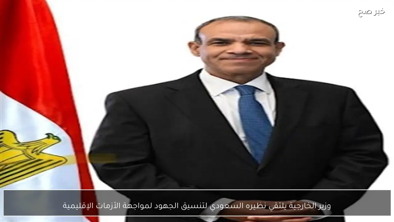 وزير الخارجية يلتقي نظيره السعودي لتنسيق الجهود لمواجهة الأزمات الإقليمية