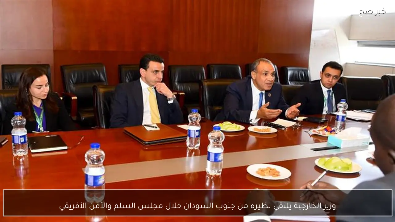 وزير الخارجية يلتقي نظيره من جنوب السودان خلال مجلس السلم والأمن الأفريقي