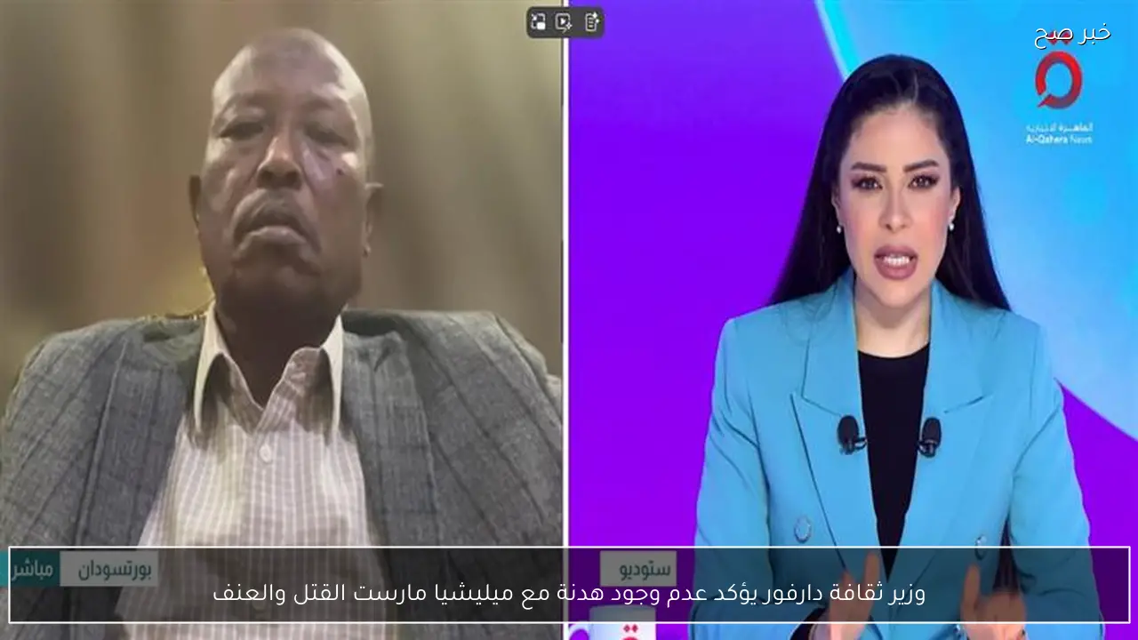 وزير ثقافة دارفور يؤكد عدم وجود هدنة مع ميليشيا مارست القتل والعنف