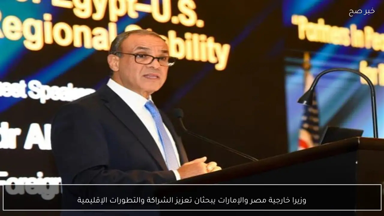 وزيرا خارجية مصر والإمارات يبحثان تعزيز الشراكة والتطورات الإقليمية