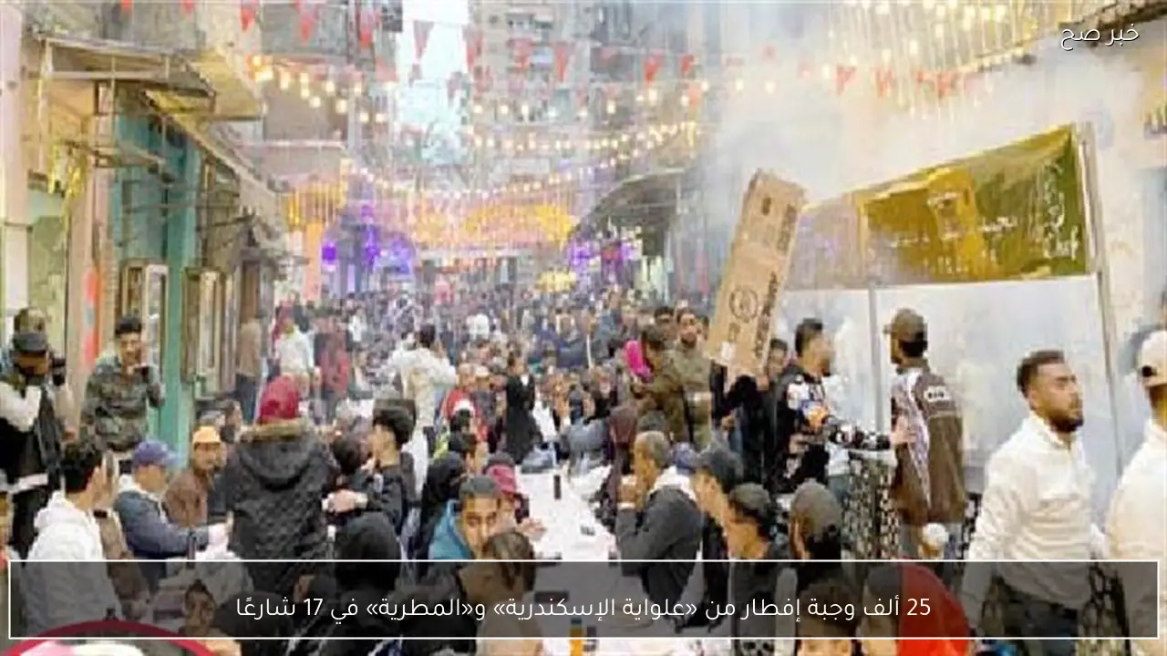 25 ألف وجبة إفطار من «علواية الإسكندرية» و«المطرية» في 17 شارعًا