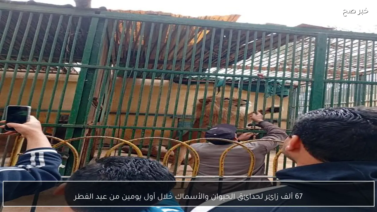 67 ألف زائر لحدائق الحيوان والأسماك خلال أول يومين من عيد الفطر