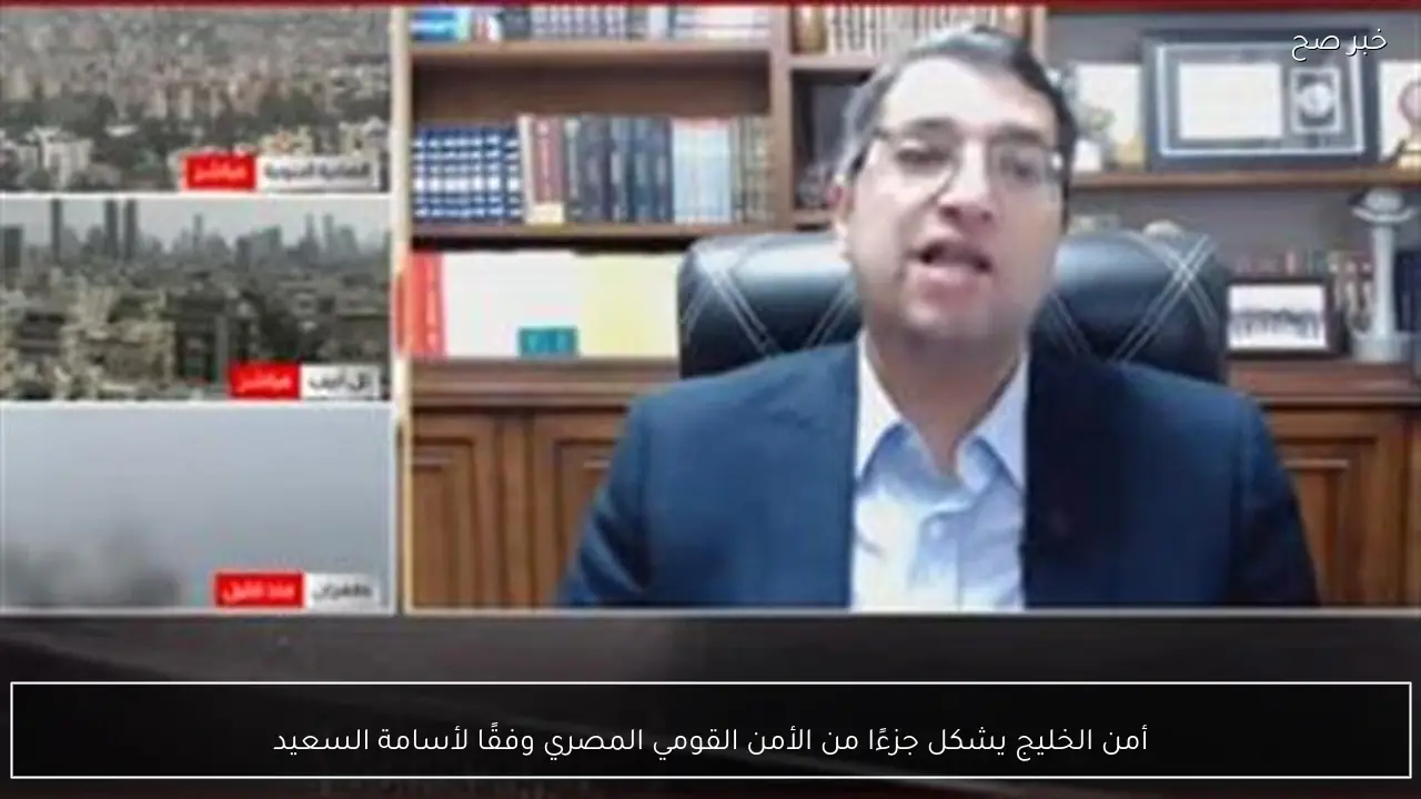 أمن الخليج يشكل جزءًا من الأمن القومي المصري وفقًا لأسامة السعيد