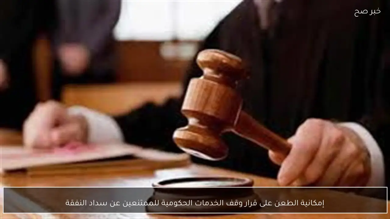 إمكانية الطعن على قرار وقف الخدمات الحكومية للممتنعين عن سداد النفقة